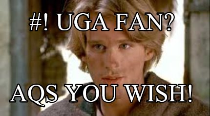 -uga-fan-aqs-you-wish