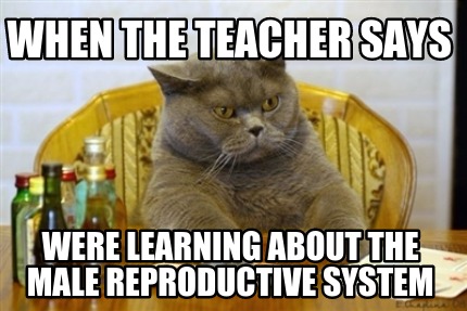 when-the-teacher-says-were-learning-about-the-male-reproductive-system