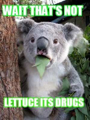 wait-thats-not-lettuce-its-drugs