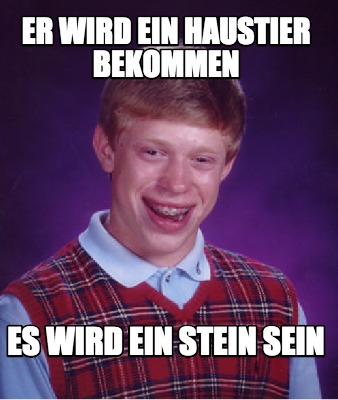 er-wird-ein-haustier-bekommen-es-wird-ein-stein-sein