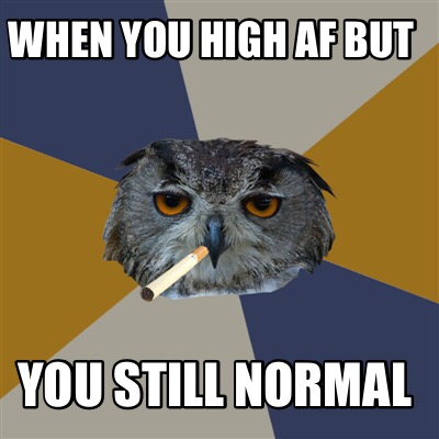 when-you-high-af-but-you-still-normal