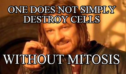 one-does-not-simply-destroy-cells-without-mitosis