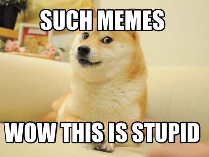 such-memes-wow-this-is-stupid