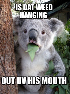 is-dat-weed-hanging-out-uv-his-mouth