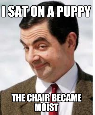 i-sat-on-a-puppy-the-chair-became-moist