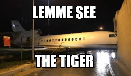 lemme-see-the-tiger