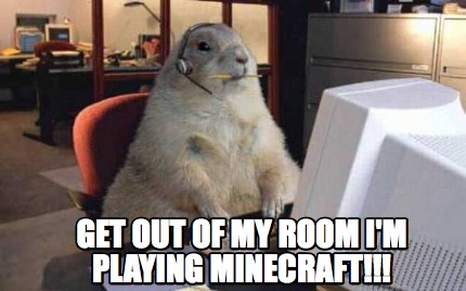 get-out-of-my-room-im-playing-minecraft