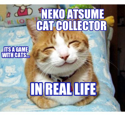neko-atsume-cat-collector-in-real-life-its-a-game-with-cats