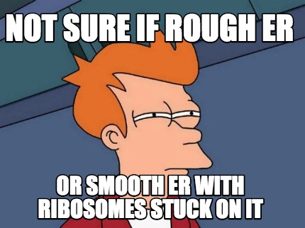 not-sure-if-rough-er-or-smooth-er-with-ribosomes-stuck-on-it
