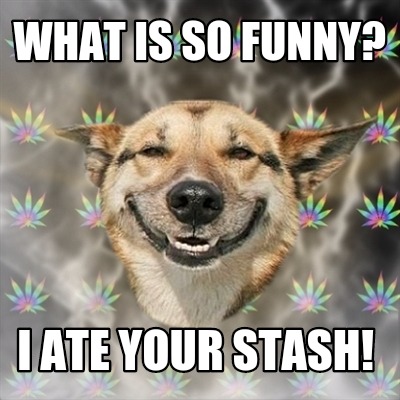 what-is-so-funny-i-ate-your-stash