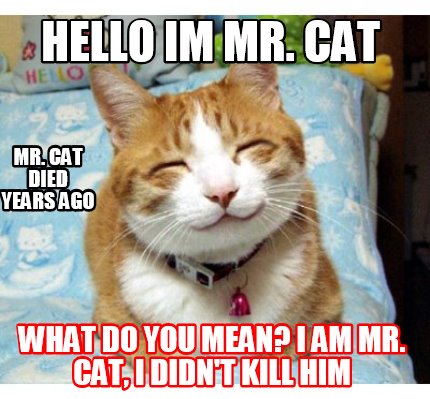 hello-im-mr.-cat-what-do-you-mean-i-am-mr.-cat-i-didnt-kill-him-mr.-cat-died-yea