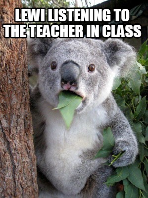 lewi-listening-to-the-teacher-in-class