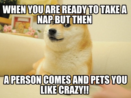 when-you-are-ready-to-take-a-nap-but-then-a-person-comes-and-pets-you-like-crazy