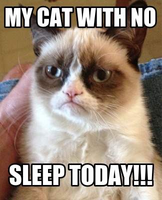 my-cat-with-no-sleep-today
