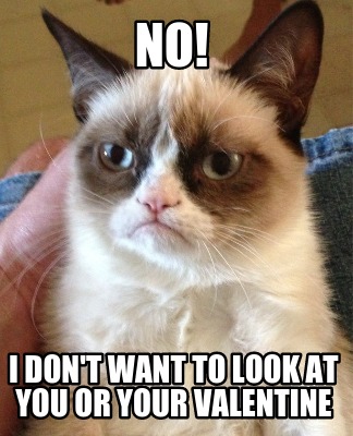 no-i-dont-want-to-look-at-you-or-your-valentine