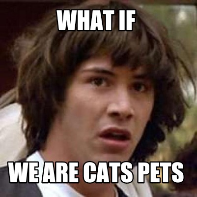 what-if-we-are-cats-pets