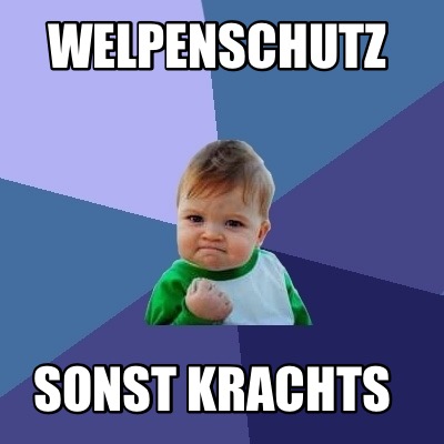 welpenschutz-sonst-krachts