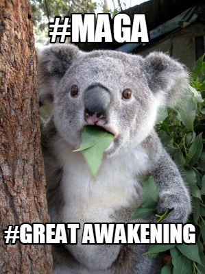 maga-great-awakening