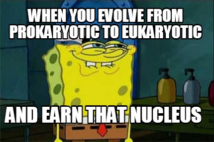when-you-evolve-from-prokaryotic-to-eukaryotic-and-earn-that-nucleus