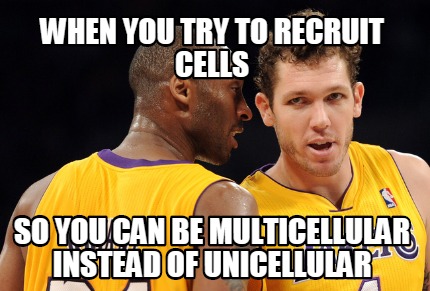 when-you-try-to-recruit-cells-so-you-can-be-multicellular-instead-of-unicellular