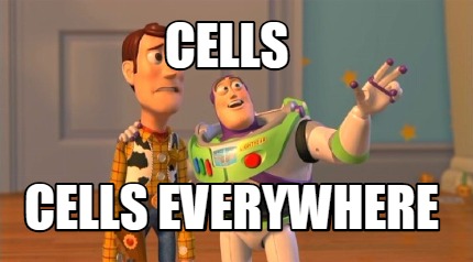 cells-cells-everywhere
