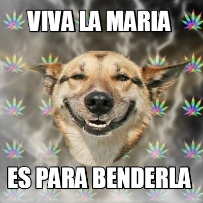 viva-la-maria-es-para-benderla