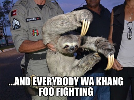 ...and-everybody-wa-khang-foo-fighting
