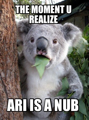the-moment-u-realize-ari-is-a-nub