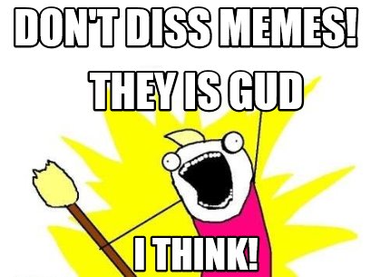 dont-diss-memes-they-is-gud-i-think
