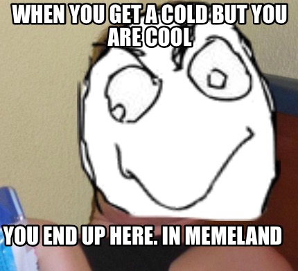 when-you-get-a-cold-but-you-are-cool-you-end-up-here.-in-memeland