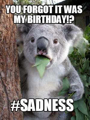 you-forgot-it-was-my-birthday-sadness
