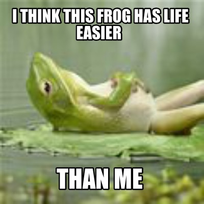 i-think-this-frog-has-life-easier-than-me