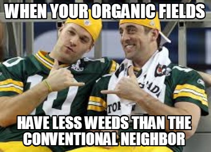 when-your-organic-fields-have-less-weeds-than-the-conventional-neighbor