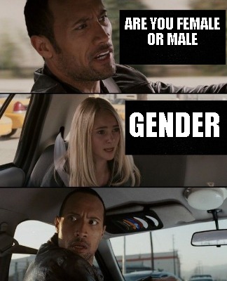 are-you-female-or-male-gender