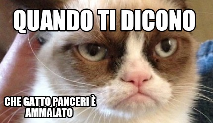 quando-ti-dicono-che-gatto-panceri-ammalato