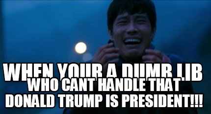 when-your-a-dumb-lib-who-cant-handle-that-donald-trump-is-president