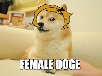 female-doge