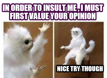 in-order-to-insult-me-i-must-first-value-your-opinion-nice-try-though1