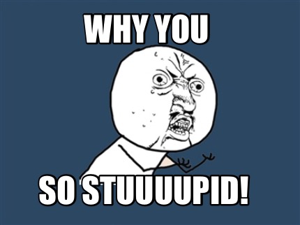 why-you-so-stuuuupid