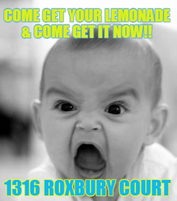 come-get-your-lemonade-come-get-it-now-1316-roxbury-court