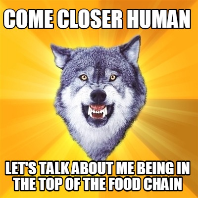 come-closer-human-lets-talk-about-me-being-in-the-top-of-the-food-chain