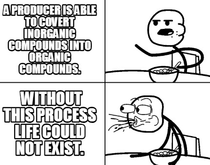 a-producer-is-able-to-covert-inorganic-compounds-into-organic-compounds.-without
