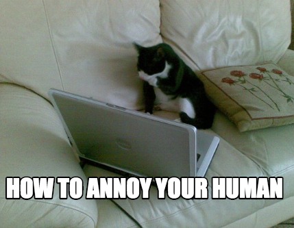 how-to-annoy-your-human
