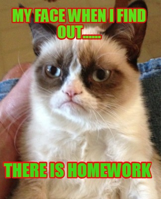 my-face-when-i-find-out......-there-is-homework