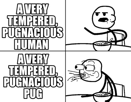 a-very-tempered-pugnacious-human-a-very-tempered-pugnacious-pug
