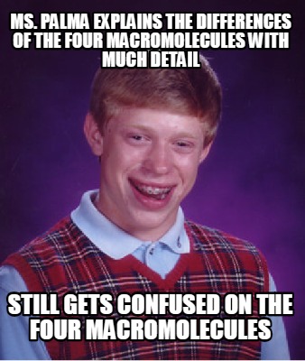 ms.-palma-explains-the-differences-of-the-four-macromolecules-with-much-detail-s