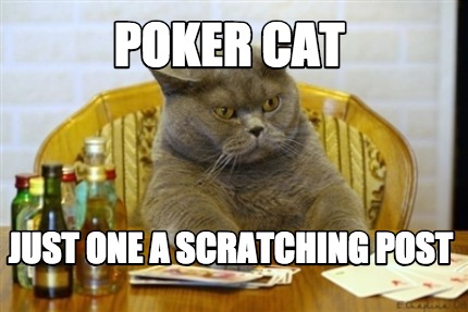 poker-cat-just-one-a-scratching-post
