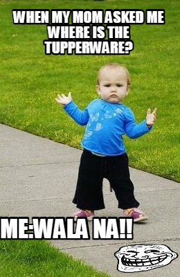 when-my-mom-asked-me-where-is-the-tupperware-mewala-na