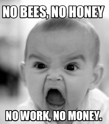no-bees-no-honey-no-work-no-money