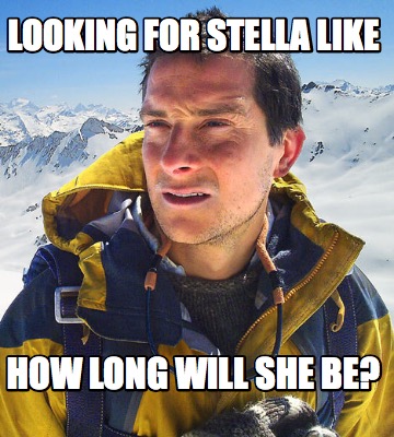 looking-for-stella-like-how-long-will-she-be